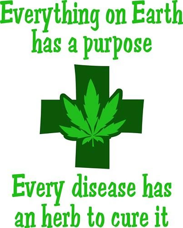 HERB TO CURE IT