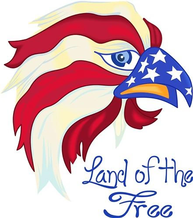 AMERICA LAND OF THE FREE