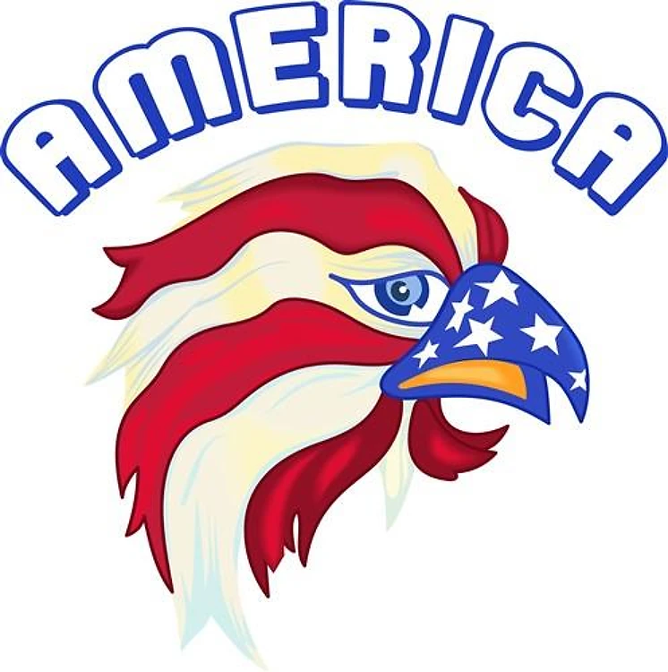 AMERICAN EAGLE AMERICA