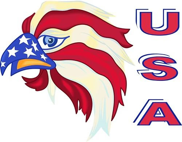 AMERICAN EAGLE USA