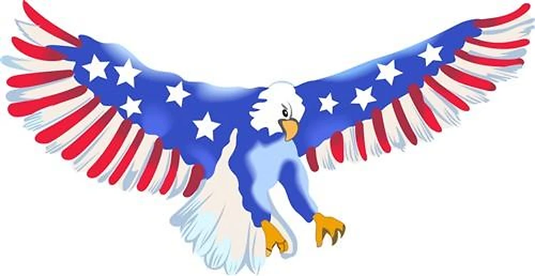 AMERICAN EAGLE IN FLIGHT