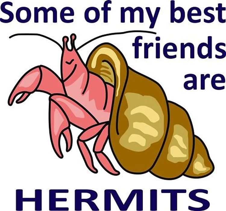 BEST FRIENDS ARE HERMITS