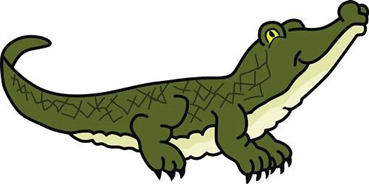 ALLIGATOR