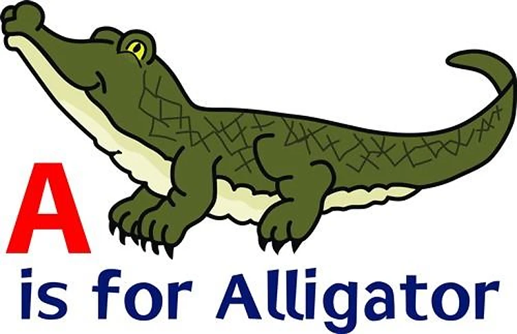 A IS FOR ALLIGATOR