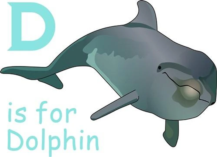 D IS FOR DOLPHIN