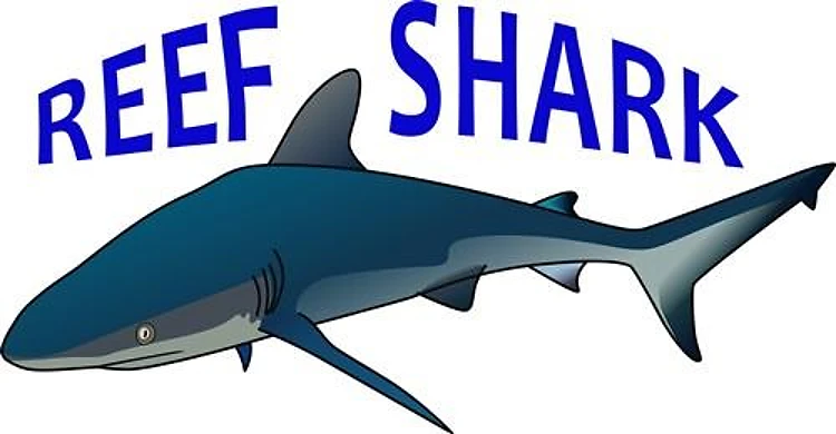 REEF SHARK