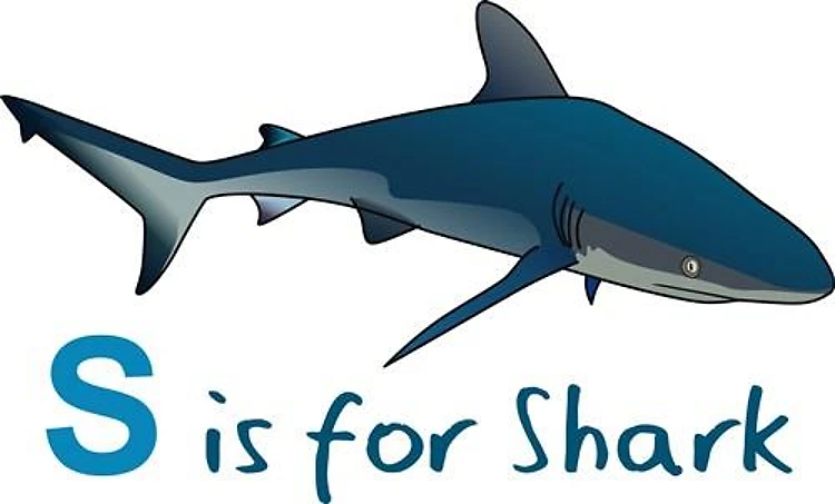 S IS FOR SHARK