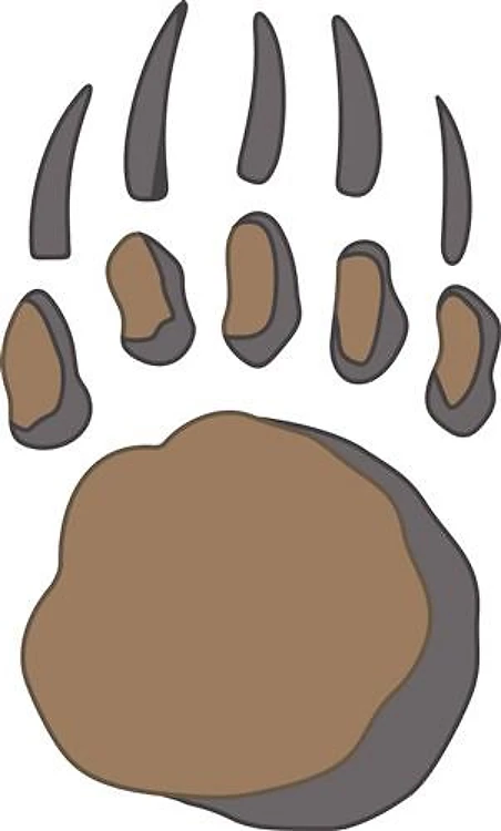 BEAR PAW