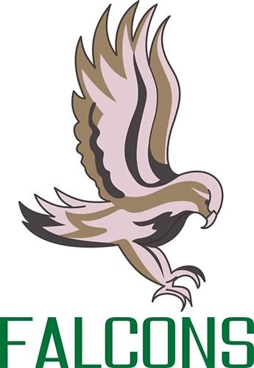 FLYING FALCON