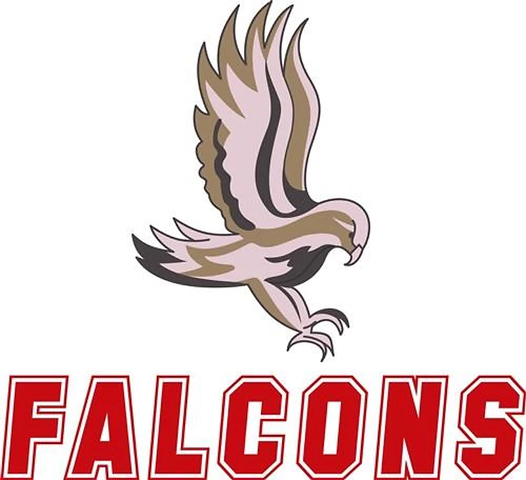 FLYING FALCON