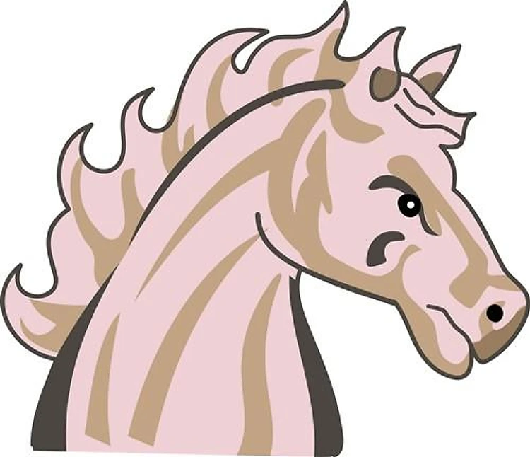 MUSTANG HORSE