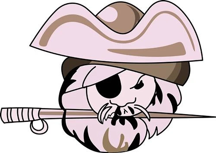 PIRATE FACE