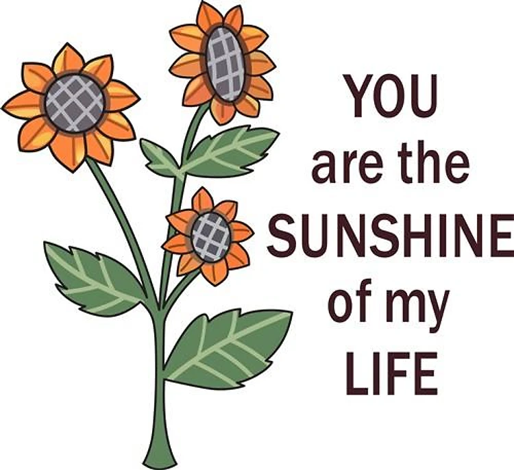 YOU ARE THE SUNSHINE