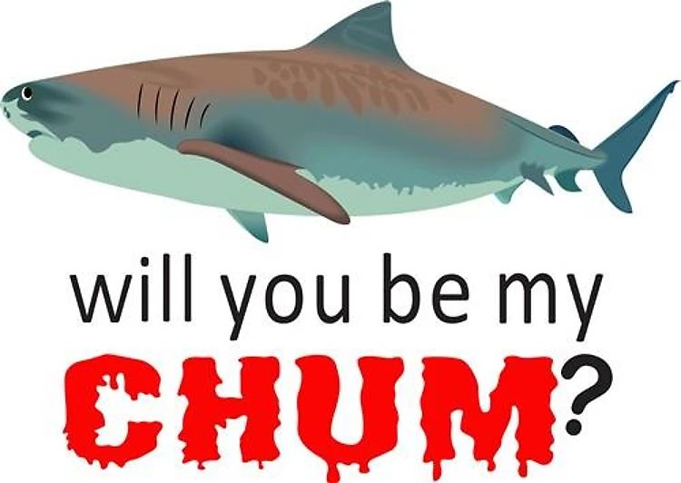 WILL YOU BE MY CHUM