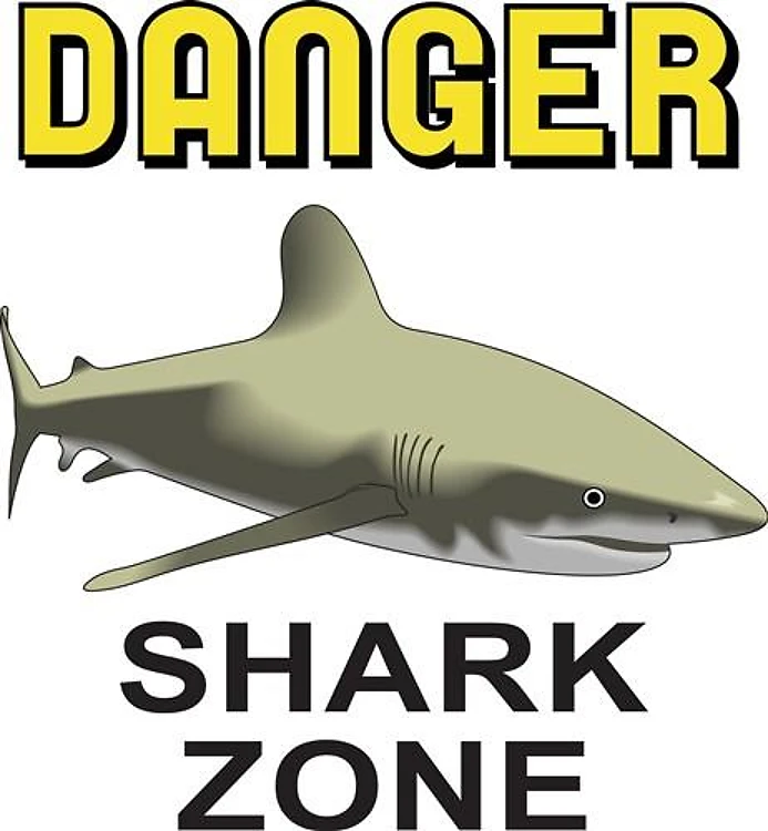DANGER SHARK ZONE