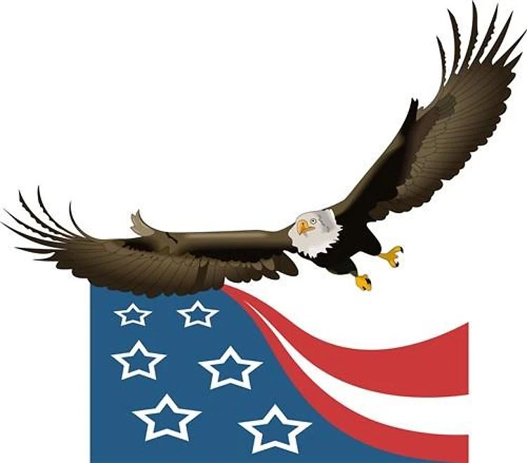 EAGLE AND FLAG
