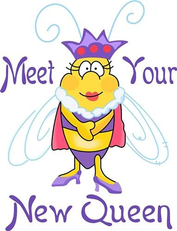 MEET YOUR NEW QUEEN