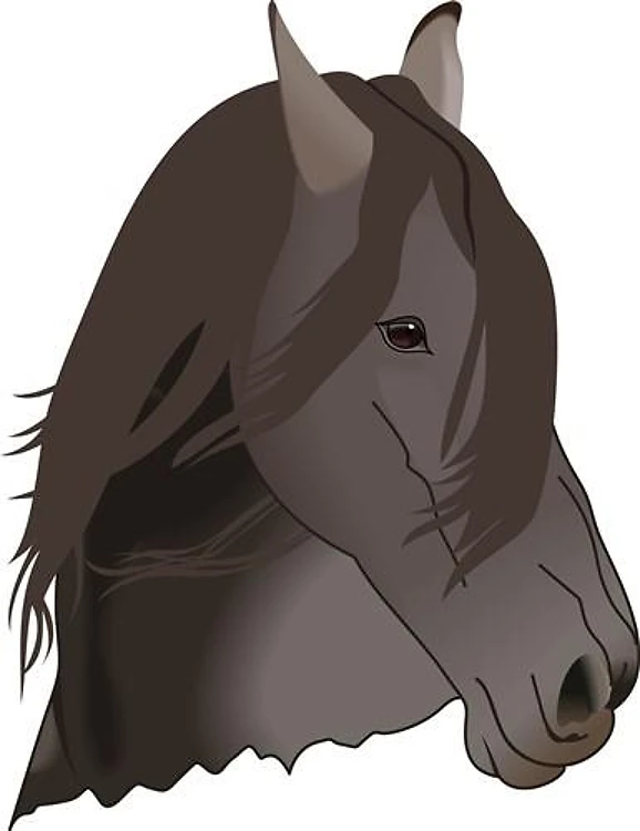 HORSES HEAD