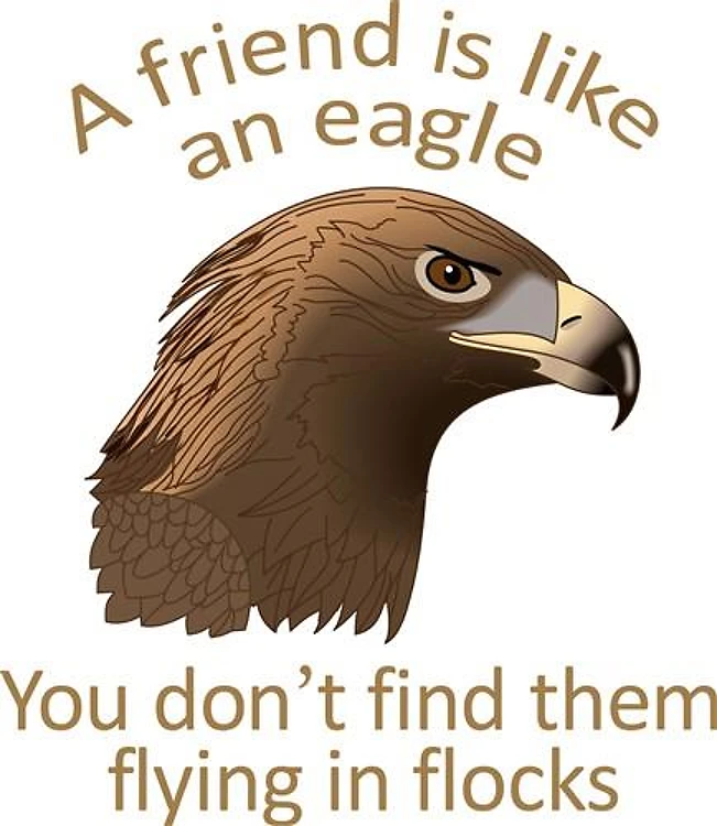 A FRIEND IS LIKE AN EAGLE