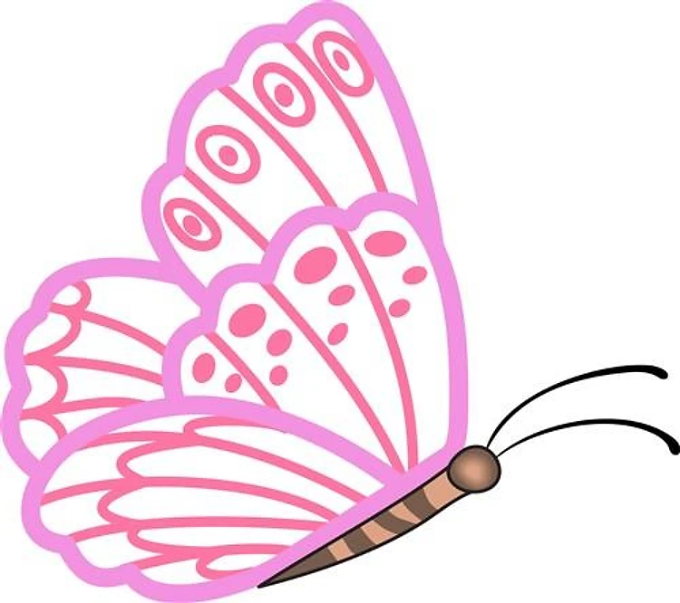 BUTTERFLY APPLIQUE