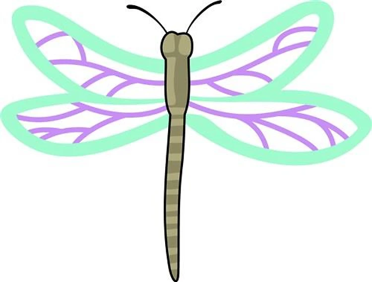 DRAGONFLY APPLIQUE