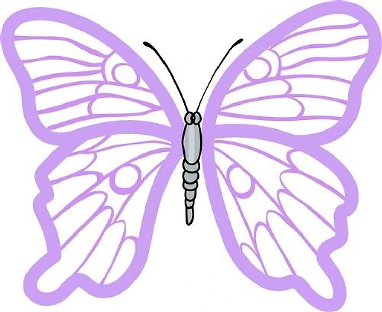 BUTTERFLY APPLIQUE
