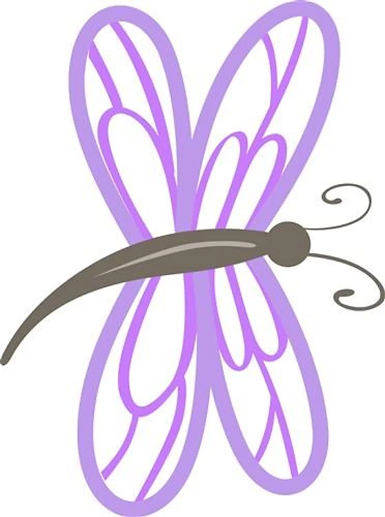 DRAGONFLY APPLIQUE