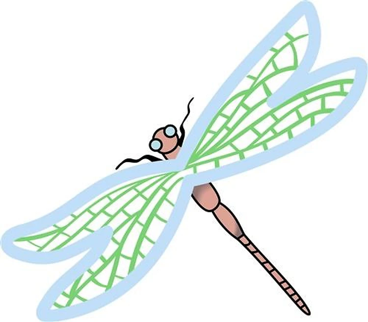 DRAGONFLY APPLIQUE