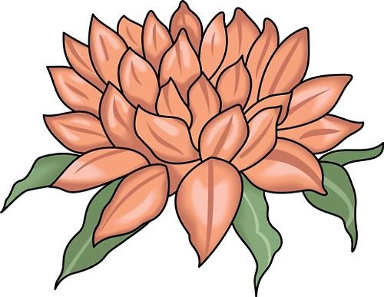 FLOWER BLOSOM