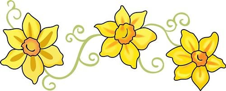 FLOWER BORDER
