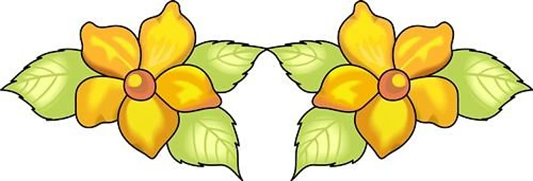 BORDER FLOWER