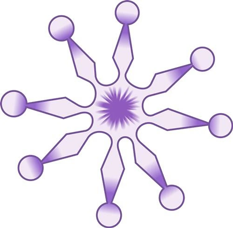SNOWFLAKE