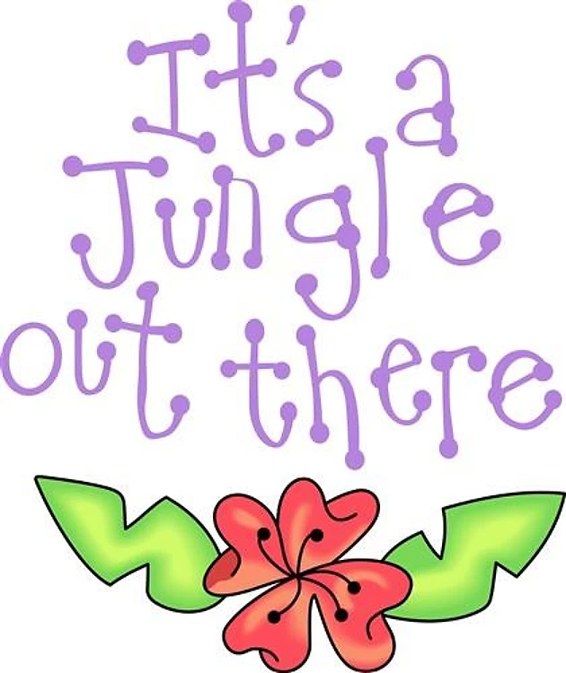ITS A JUNGLE