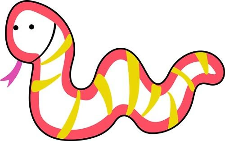 SNAKE APPLIQUE