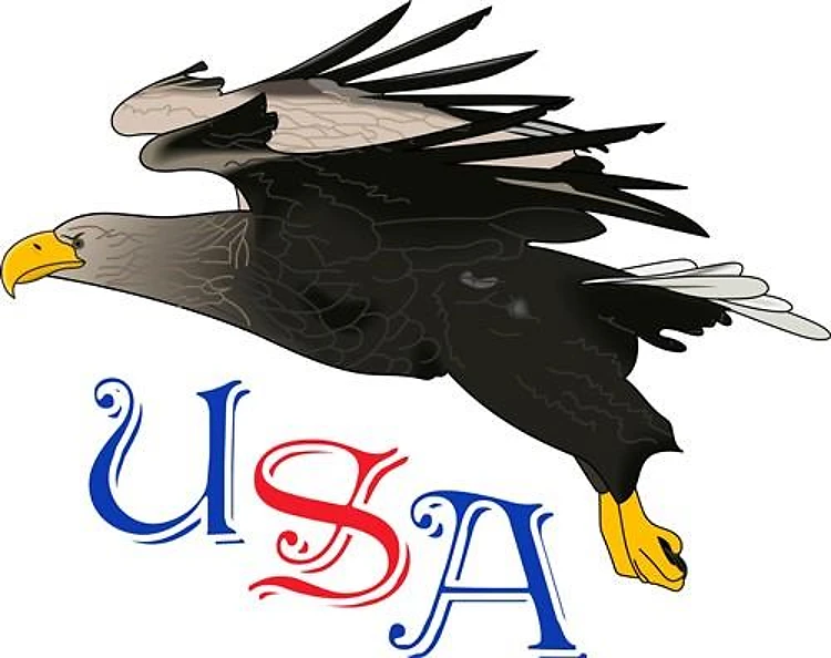 USA BALD EAGLE