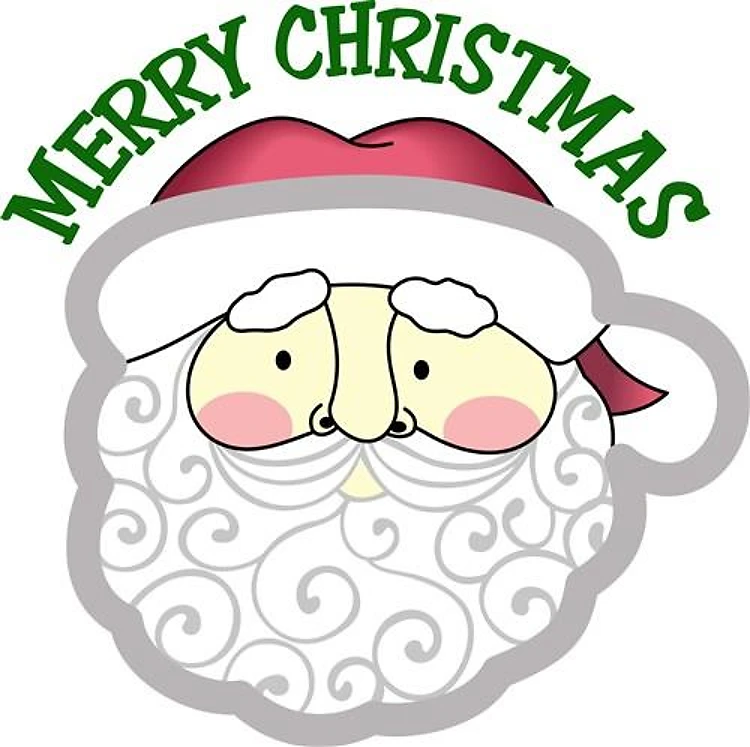 MERRY CHRISTMAS APPLIQUE