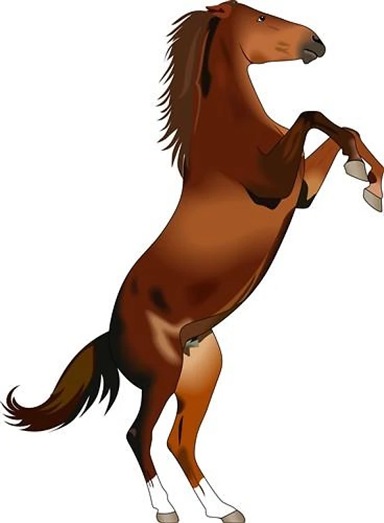 REARING HORSE