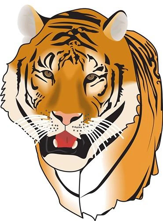 TIGER HEAD