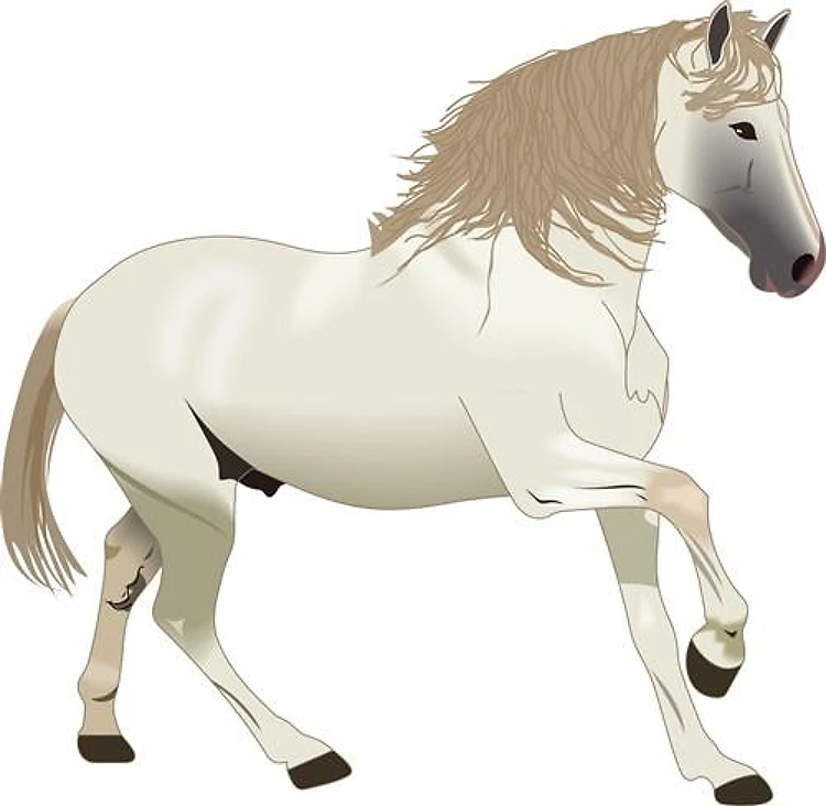 LARGE ARABIAN STALLION