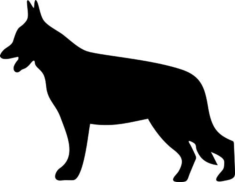 GSD SILHOUETTE