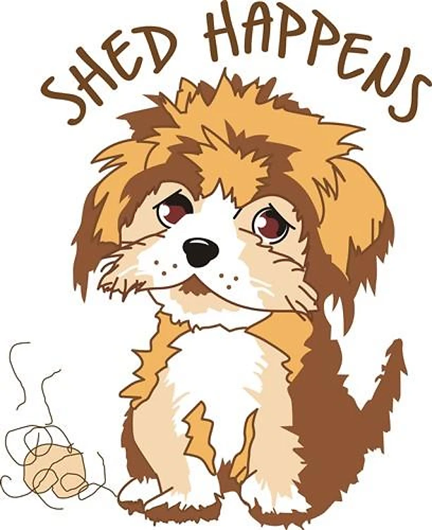 SHED HAPPENS