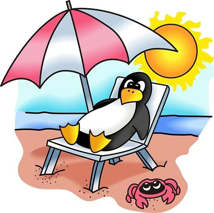 PENGUIN ON THE BEACH
