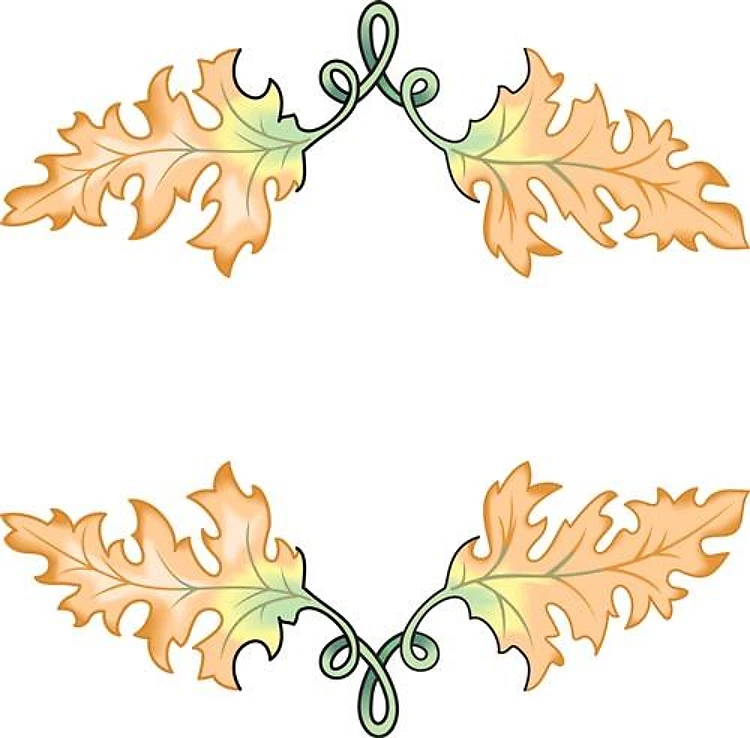 FALL LEAVES FRAME