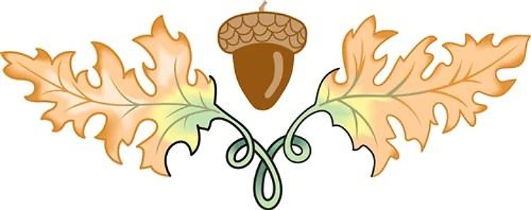 OAK LEAVES AND ACORN