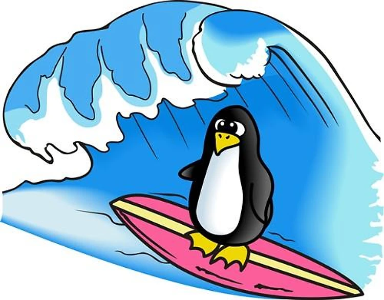 PENGUIN SURFING