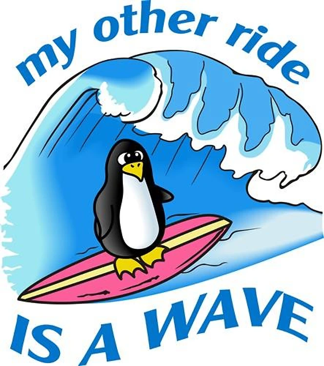 OTHER RIDE IS A WAVE