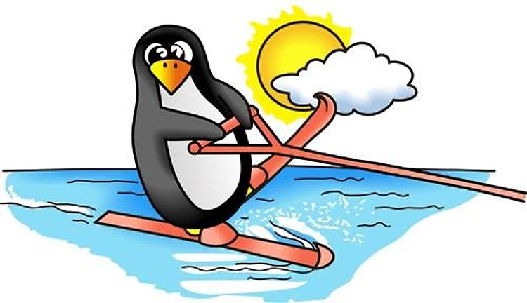 PENGUIN WATER SKIING