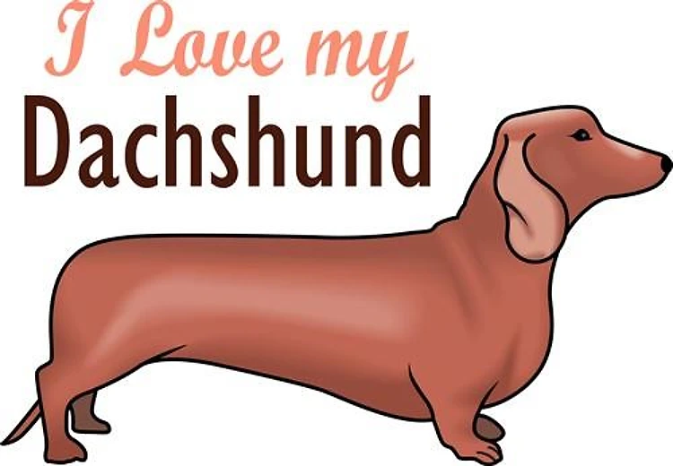 I LOVE MY DACHSHUND