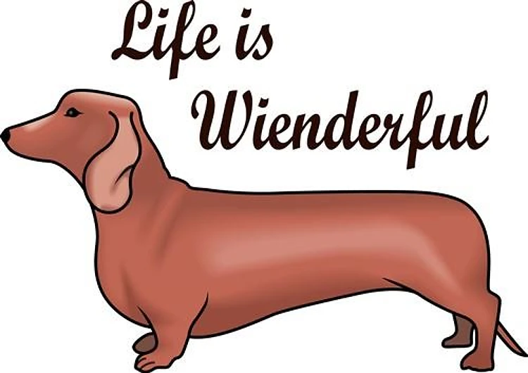 LIFE IS WIENDERFUL