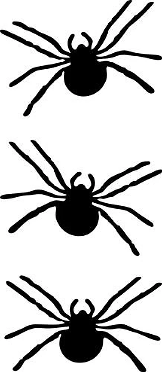 SPIDERS BORDER